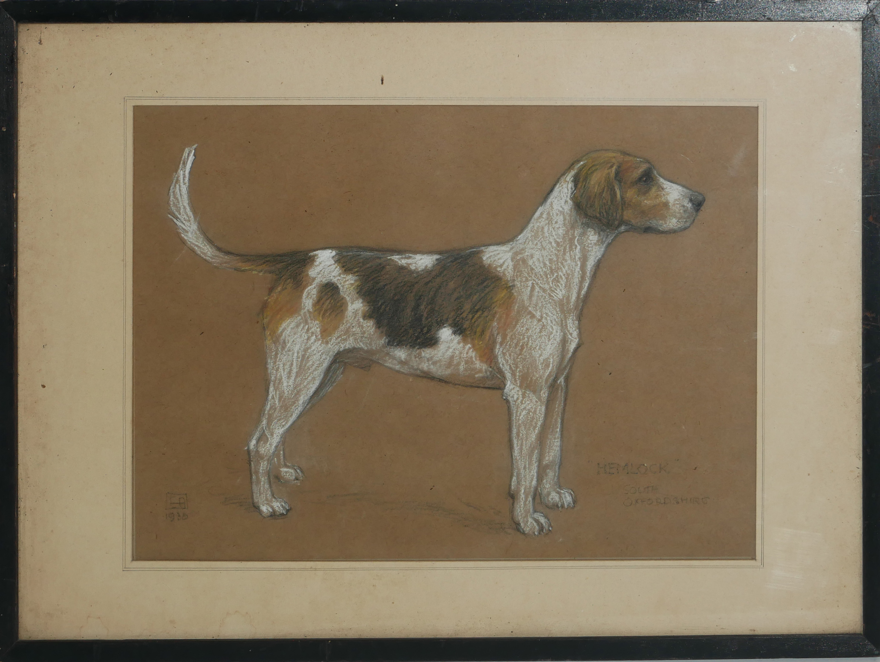 AN EARLY 20TH CENTURY PASTEL DOG STUDY, HUNTING BEAGLE IN STANDING POSE Titled 'Hemlock, South - Image 2 of 7