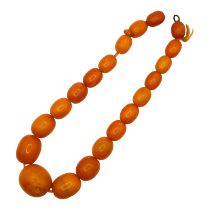 AN EARLY 20TH CENTURY BUTTERSCOTCH AMBER BEADED NECKLACE Having twenty graduated amber beads. (