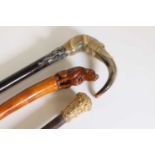 A horn, silver-mounted and stained hardwood walking stick