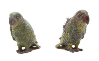 A pair of cold painted, spelter parrots