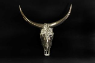 A cast and polished model of an American shorthorn skull,