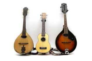 An Ozark Professional flat back mandolin,