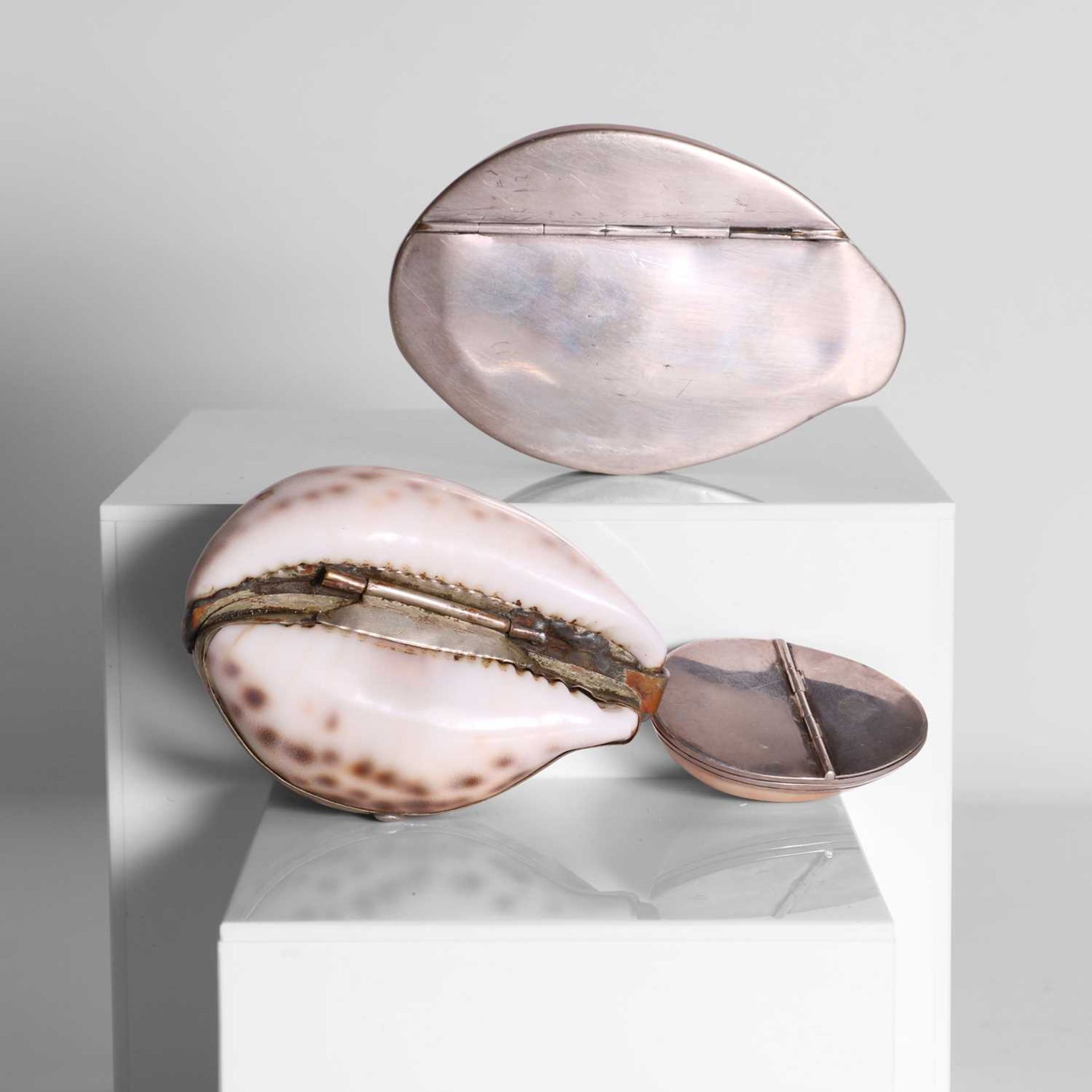 Two silver-mounted cowrie shell snuffboxes, - Image 2 of 4