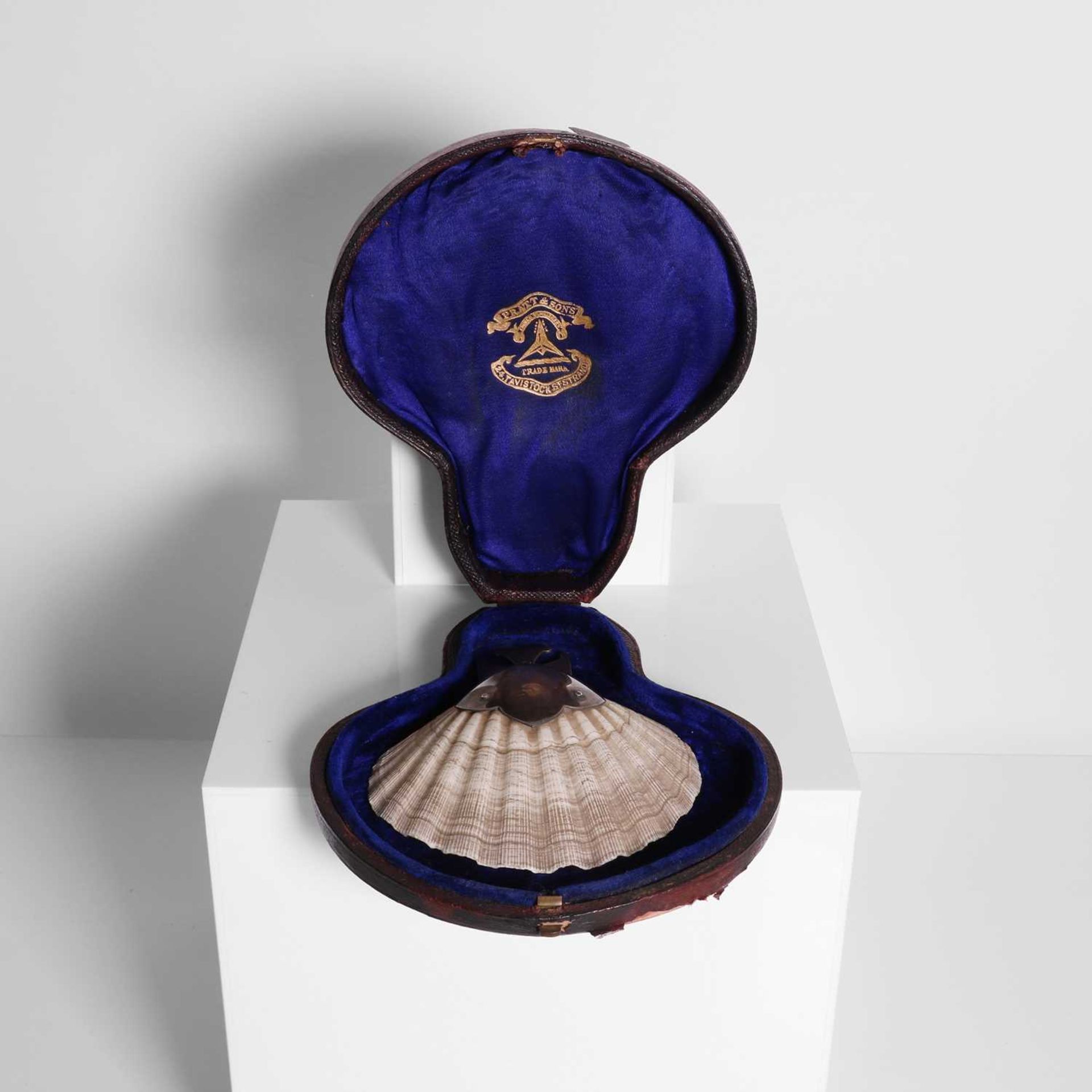 A silver-mounted christening shell, - Image 2 of 6