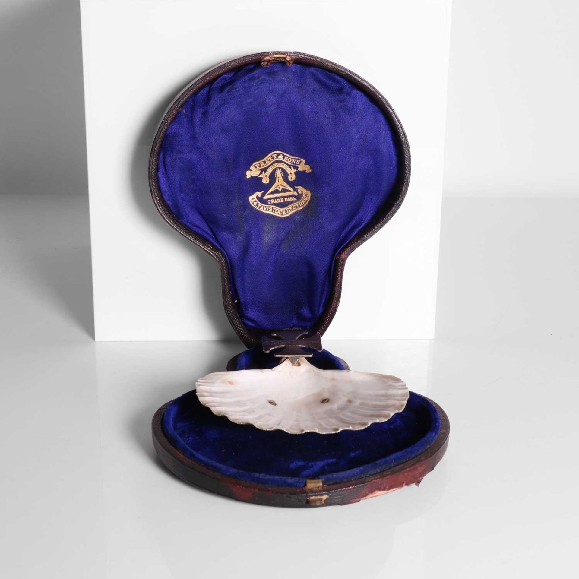 A silver-mounted christening shell, - Image 6 of 6
