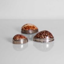 Two silver-mounted cowrie shell snuffboxes,