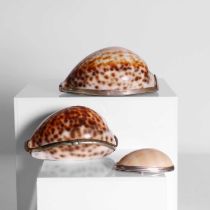 Two silver-mounted cowrie shell snuffboxes,