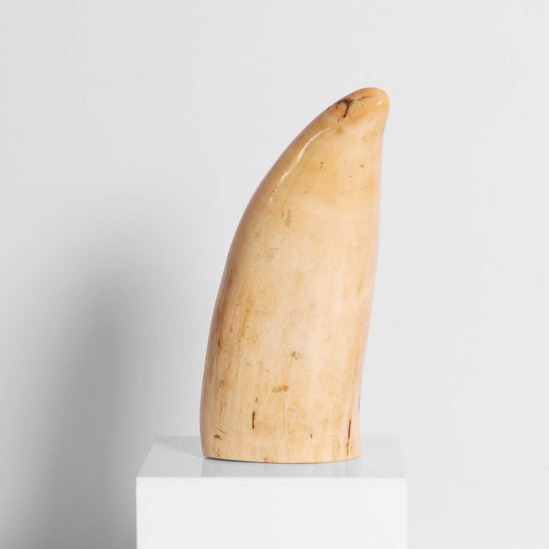 A scrimshaw-decorated sperm whale's tooth, - Image 4 of 5