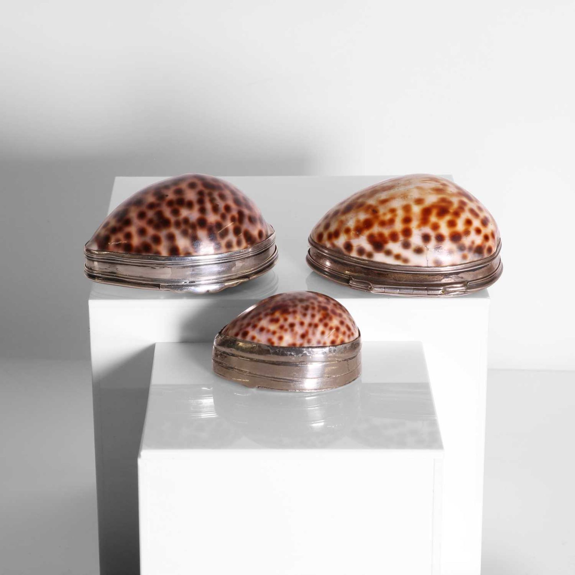 Two silver-mounted cowrie shell snuffboxes, - Image 6 of 7