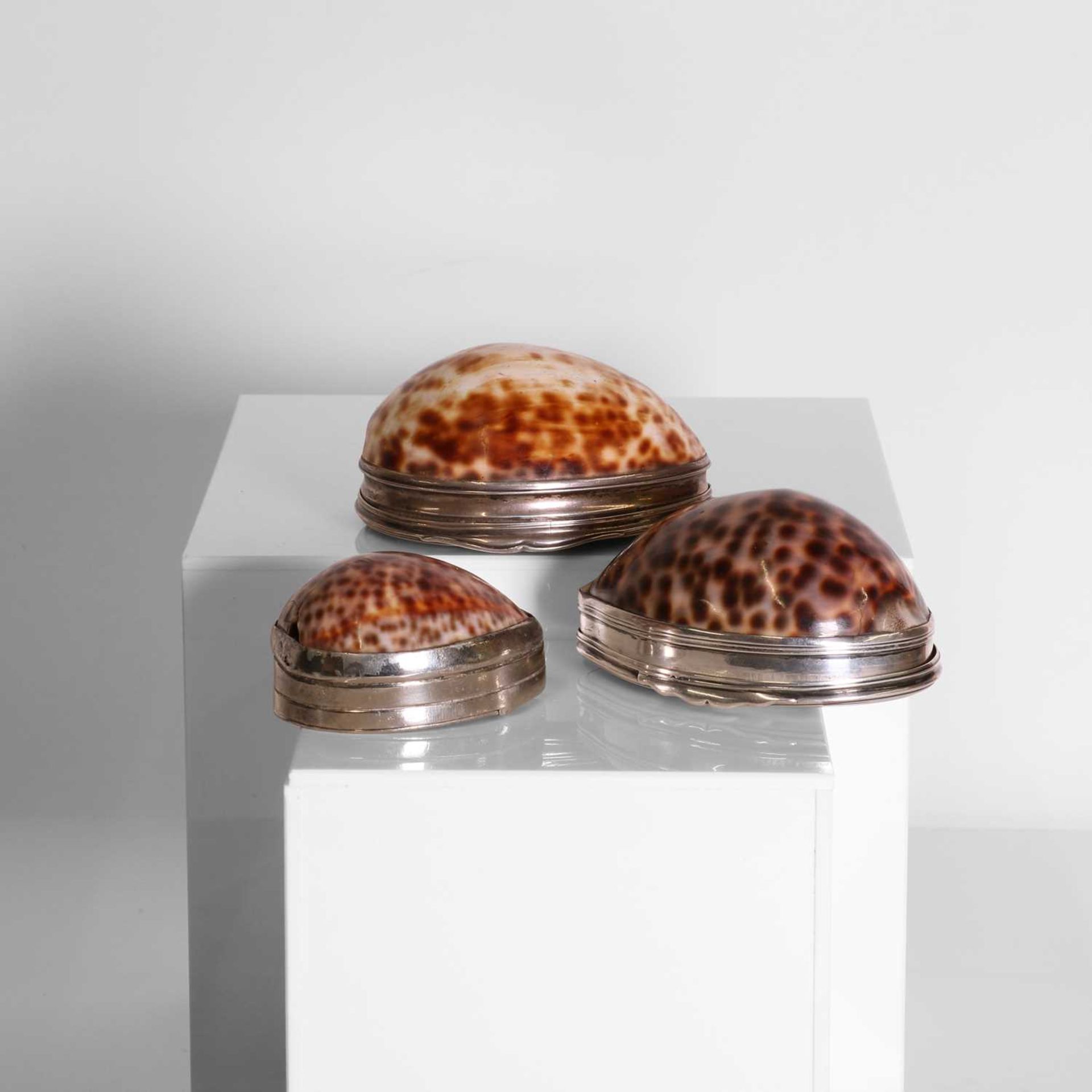 Two silver-mounted cowrie shell snuffboxes, - Image 7 of 7