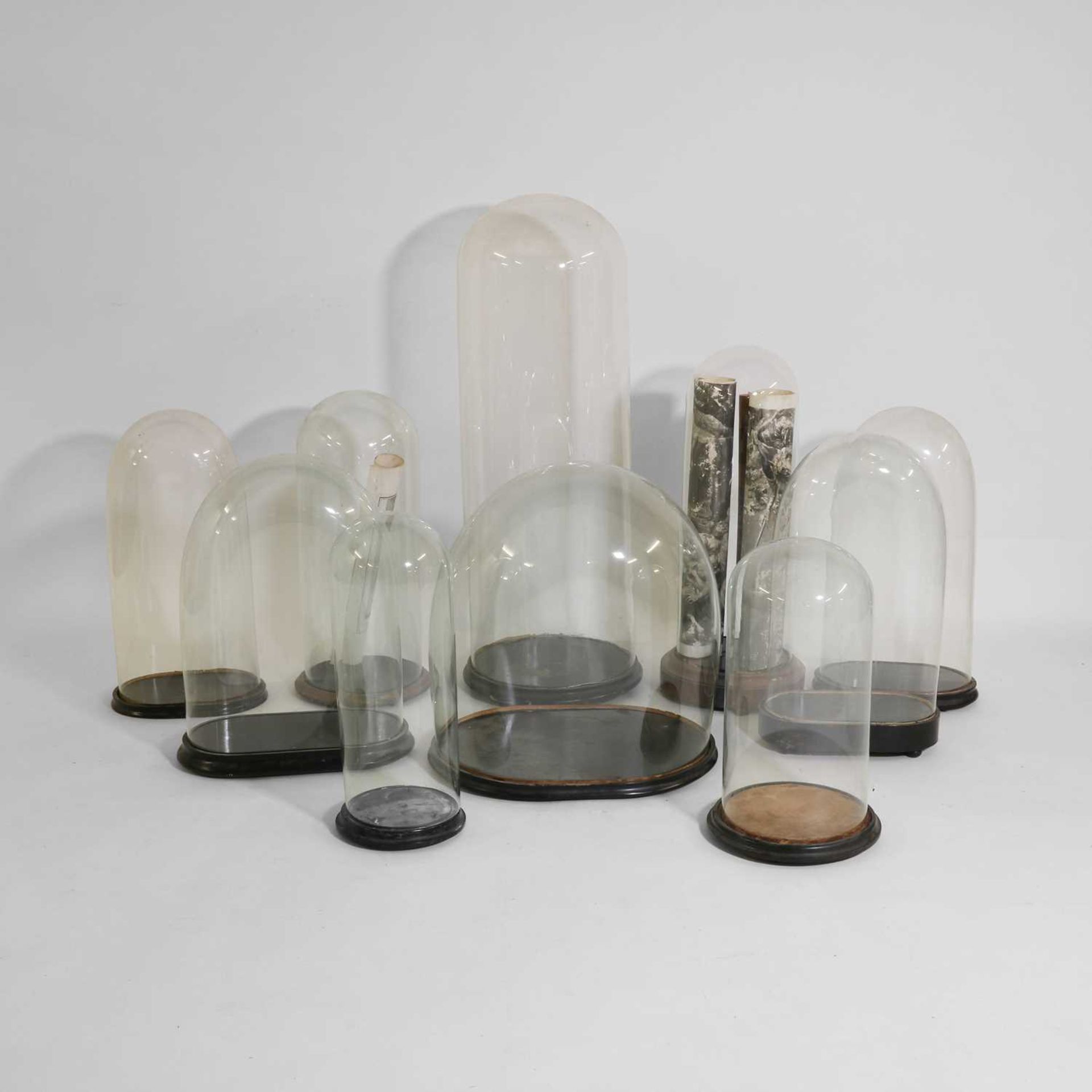 A group of ten Victorian glass domes, - Image 5 of 6