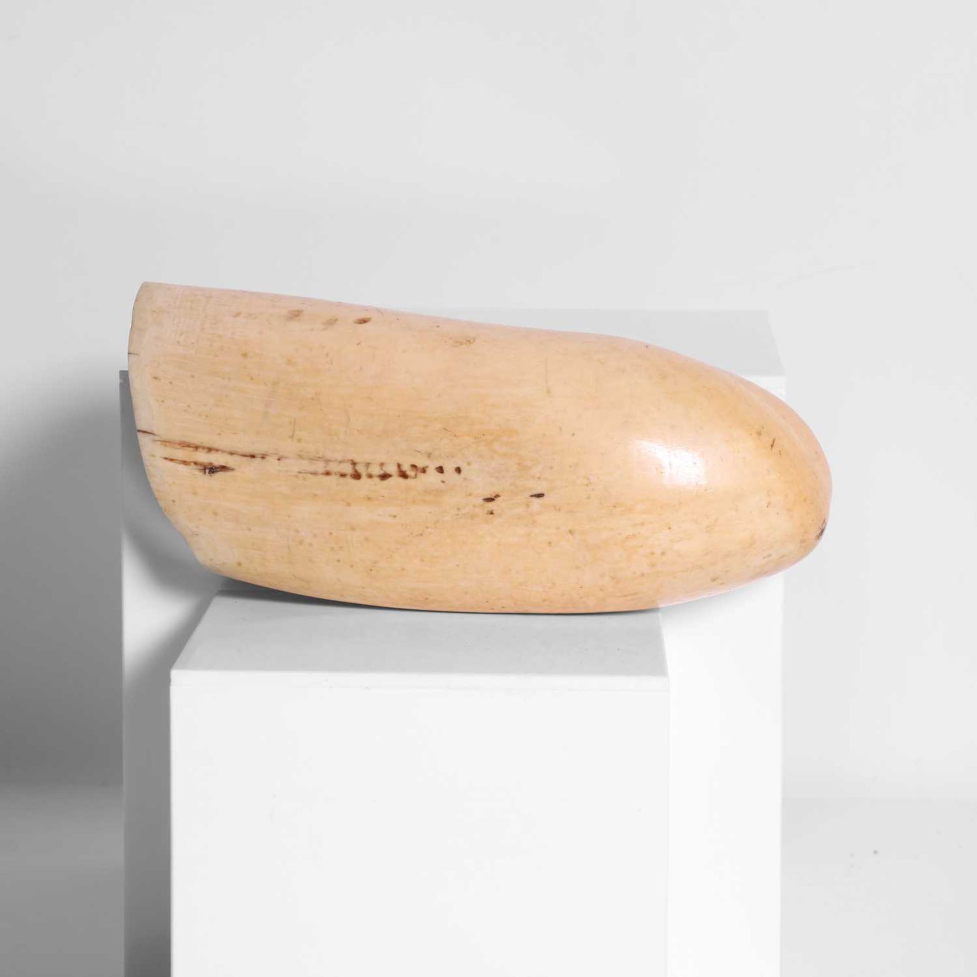 A scrimshaw-decorated sperm whale's tooth, - Image 6 of 6