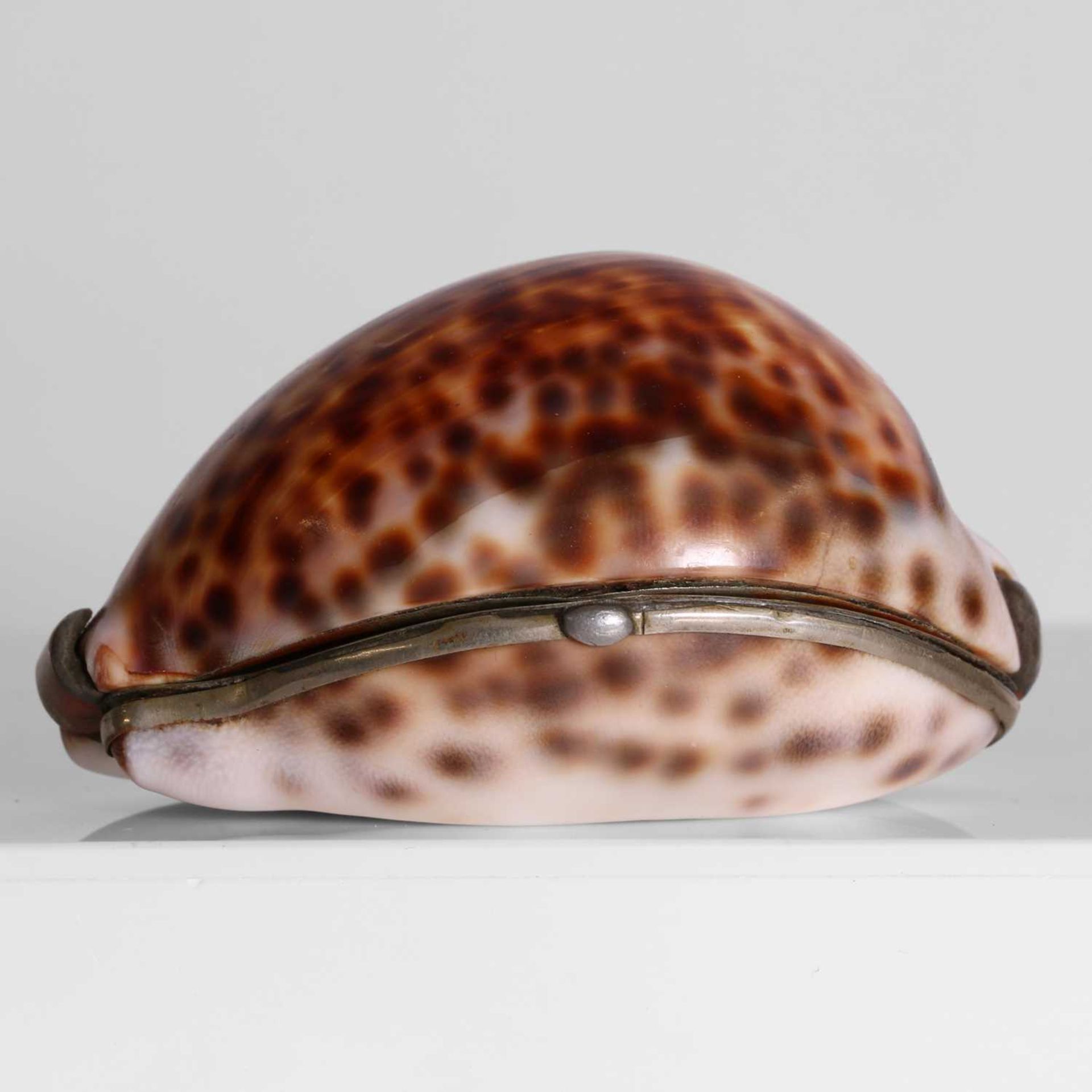 Two silver-mounted cowrie shell snuffboxes, - Image 4 of 4