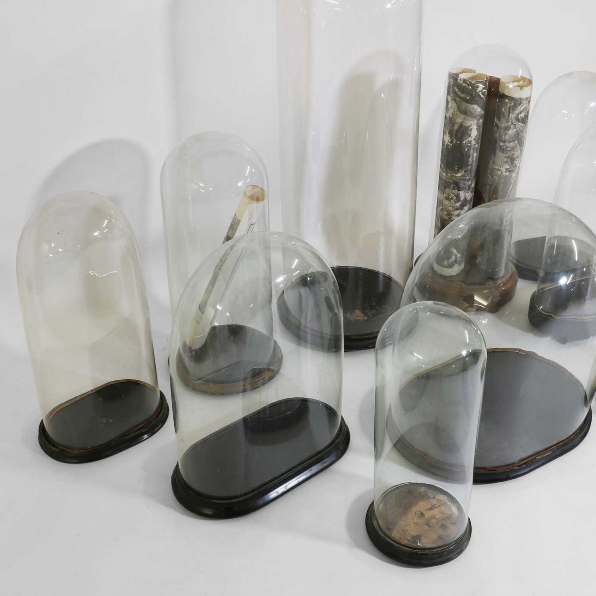 A group of ten Victorian glass domes, - Image 2 of 6