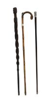 A group of three walking sticks,