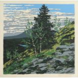 Neil Welliver (American, 1929-2005)