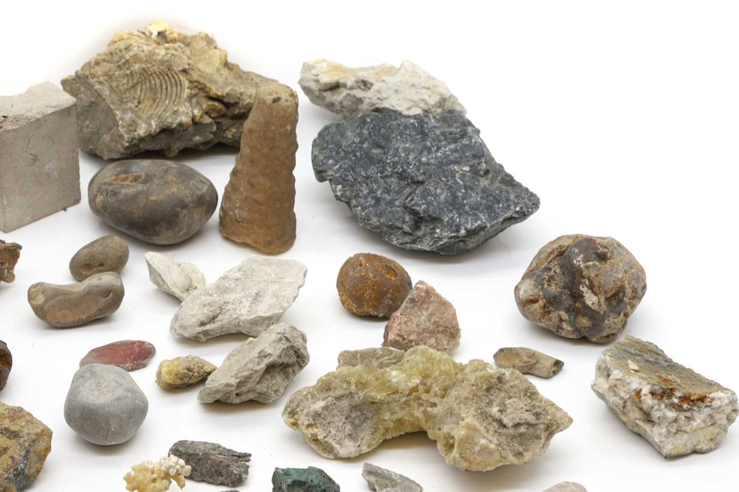 A collection of fossils and quartz, - Image 2 of 4