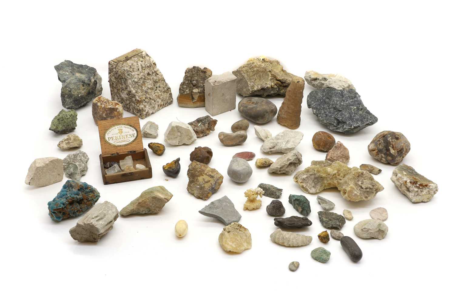 A collection of fossils and quartz,