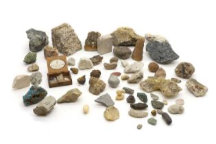 A collection of fossils and quartz,