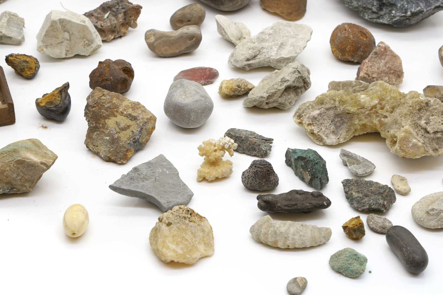 A collection of fossils and quartz, - Image 4 of 4