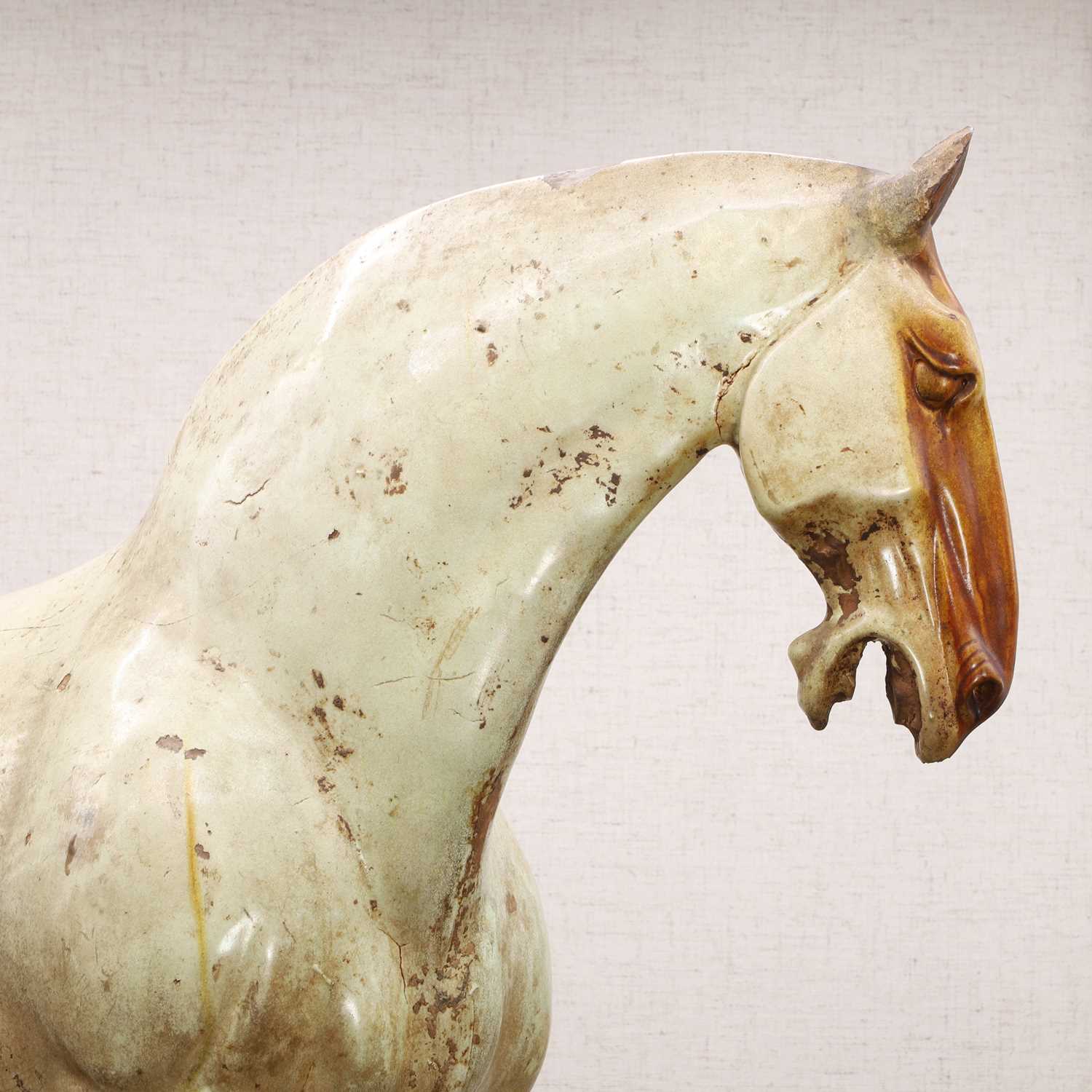 A Chinese sancai-glazed pottery horse, - Image 9 of 23