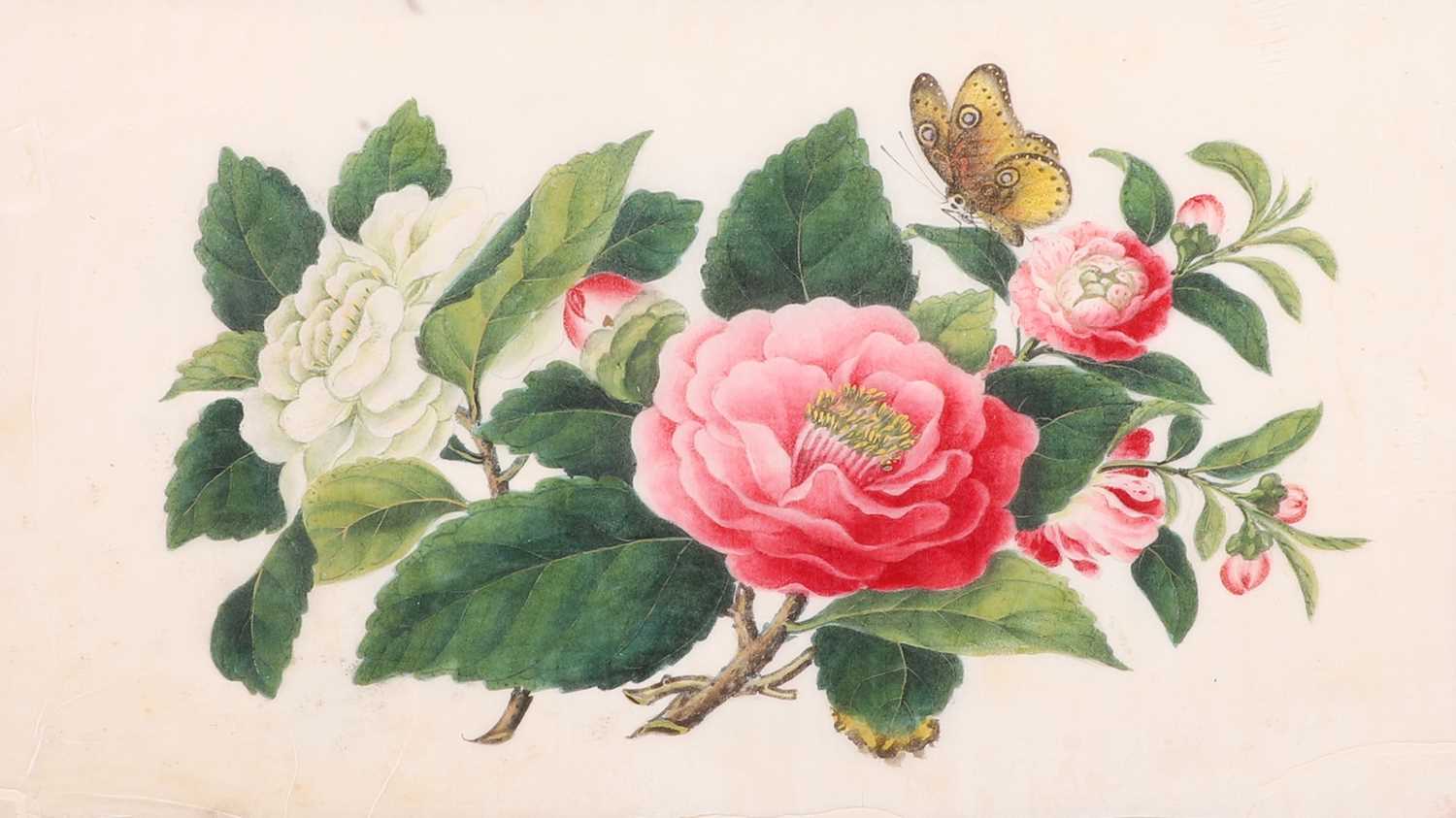 An album of Chinese pith paper paintings,