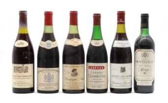 A selection of red wines
