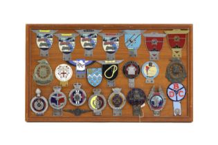 A display of military and other motoring badges,