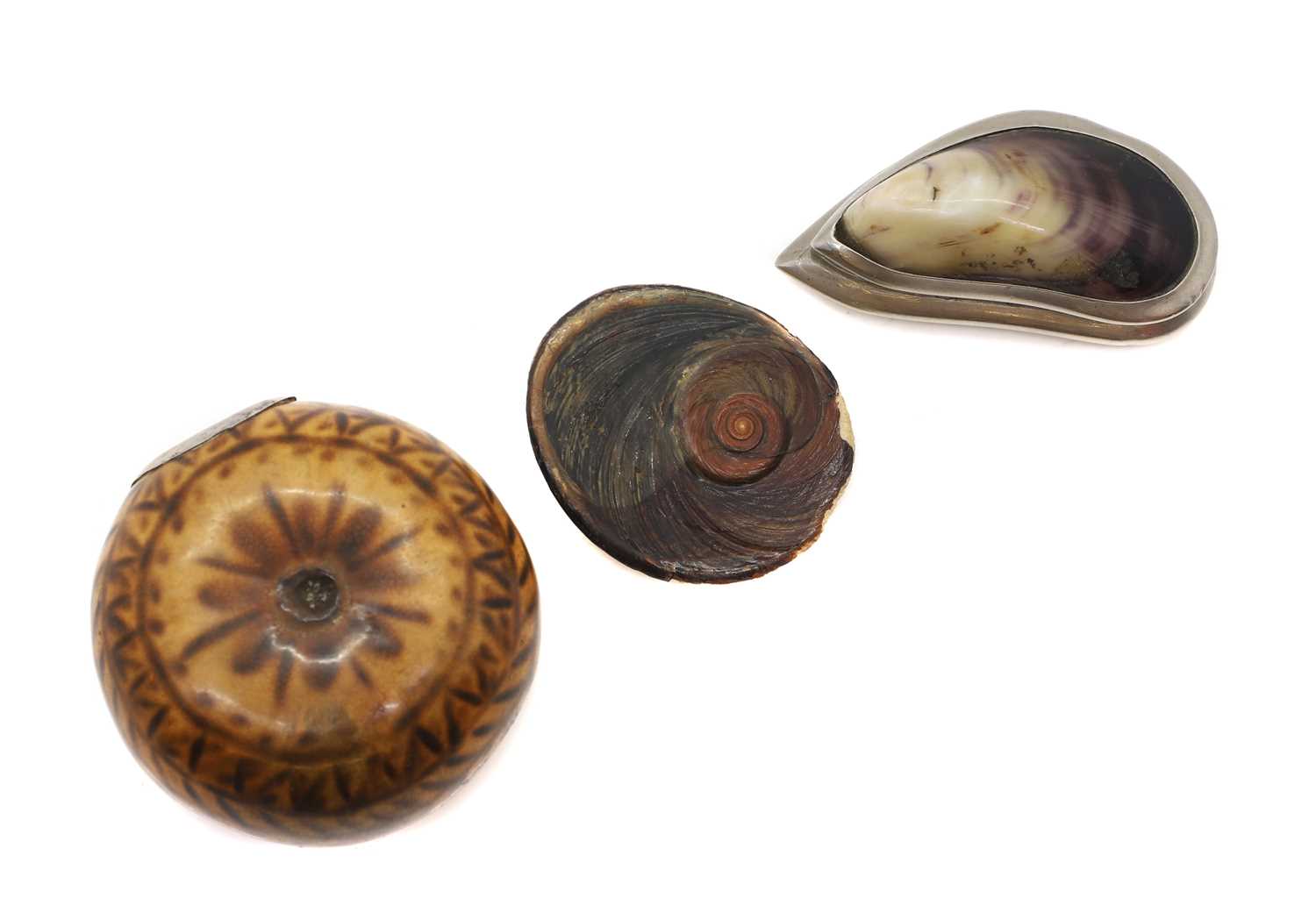 A white metal mounted mussel shell snuff box