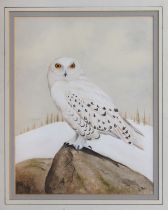 S. Muir (British, 20th century) Snowy owl in a winter landscape watercolour, signed lower right,