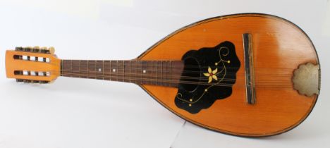 A Lignatone mandolin