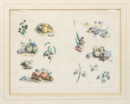 Censier: a set of three 19th century French hand coloured lithographs - 'Cours de Fleurs et Fruits',