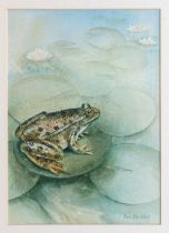 Ann Blockley, RI, SWA (British, contemporary) Frog on a lily pad watercolour, signed lower right,