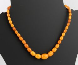 An antique egg yolk amber bead necklace - the oval beads graduating from 6.5mm to 17mm long, with