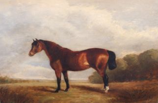 English School (19th century) A horse in a landscape oil on board, signed with monogram lower