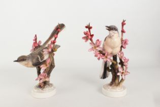 A pair of large Royal Worcester porcelain figures of Mocking Birds by Dorothy Doughty - 26.5 cm to