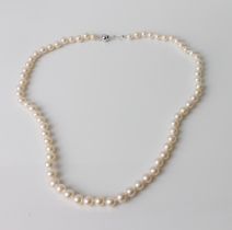 A single strand graduated cultured pearl necklace - the pearls graduating from 5mm to 6mm