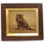 After Gambier Bolton FZS (1854-1928) 'Day Dreams', photographic print 23.5 x 28.5 cm (carved frame