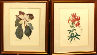 After Christophe Jacob Trew and Pierre Joseph Redoute: a set of three botanical prints - modern