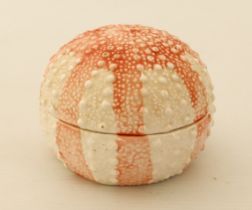 A Victorian novelty sea urchin lidded box