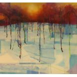 Doug Eaton (British, contemporary) 'Forest Reflections' limited edition colour print, signed and