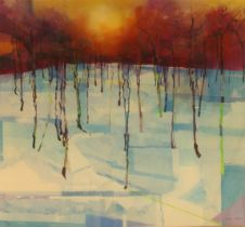 Doug Eaton (British, contemporary) 'Forest Reflections' limited edition colour print, signed and