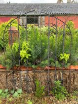 A pair of wrought iron garden gates - each gate 62cm wide x 143cm high, 114cm overall width (with