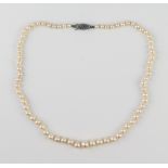 A vintage mid-century graduated cultured pearl necklace - 1920s-30s, single strand, the pearls