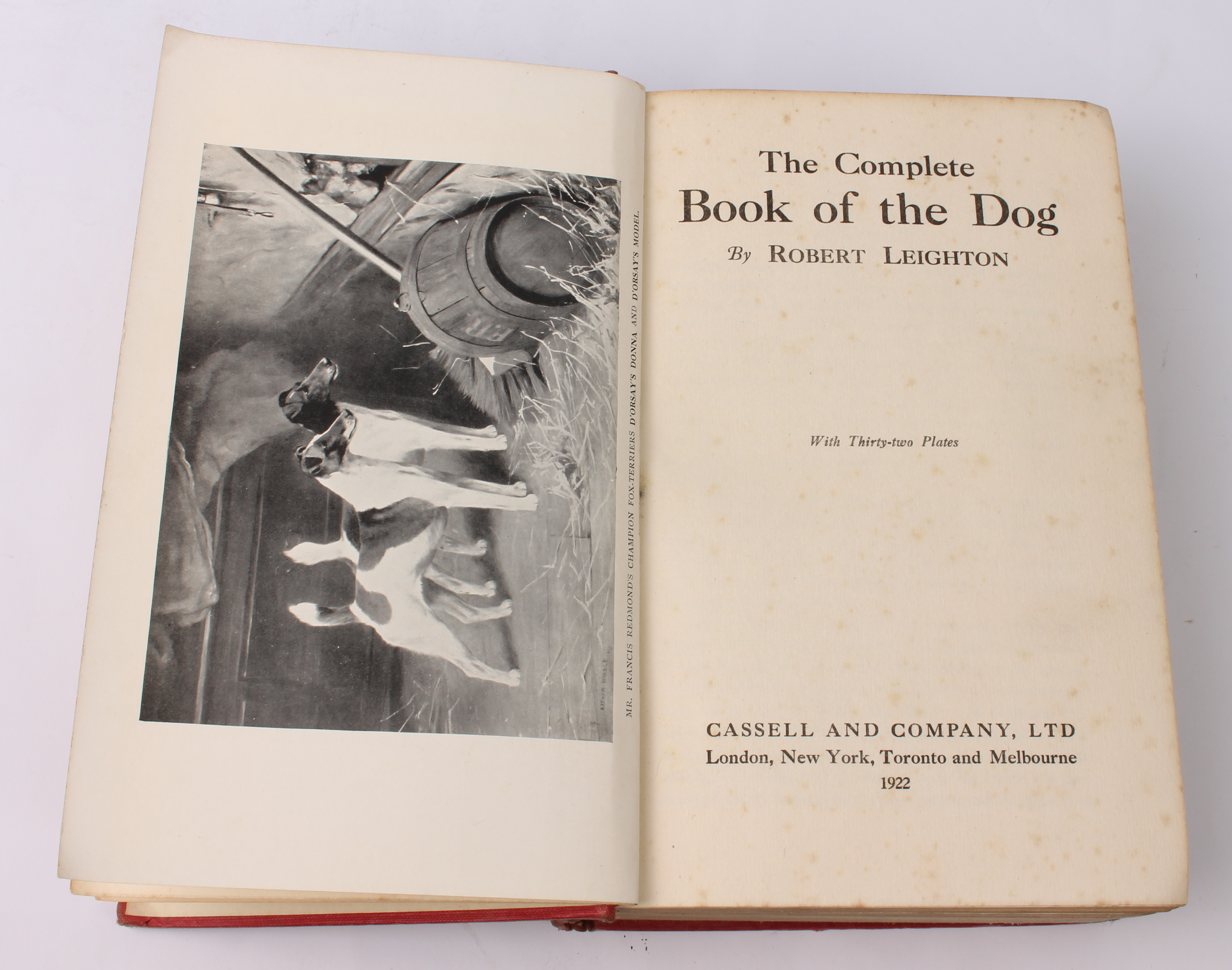 Six volumes mostly relating to fox hunting and hounds: 1. Ivester Lloyd (T), Hounds, pub. London: - Bild 5 aus 9