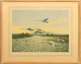 Peter Scott (British, 1909-1989) North Wind - Bewick Swans limited edition colour lithograph, signed