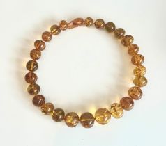 An amber bead necklace - with graduated, polished ovoid beads and loop and bar clasp, 43.5 cm long.