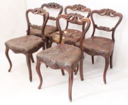 A set of five mid-19th century carved walnut and leather balloon back dining chairs - with foliate