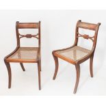 A pair of Regency mahogany and caned side chairs - with label top rails and X-shaped backs with