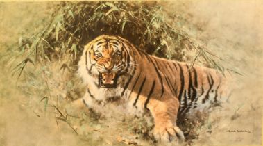 David Shepherd, OBE (British, 1931-2017) 'Tiger Fire' limited edition colour print, signed in